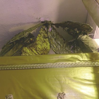 שחזור ארון הברית והכרובים באתנחתא ברובע