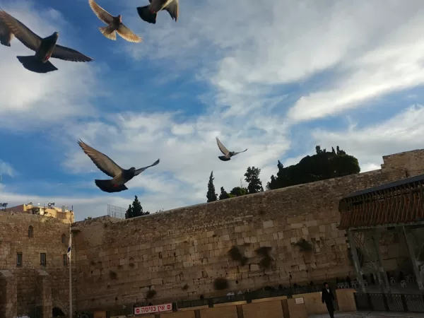 רק חמש דקות הליכה מהכותל